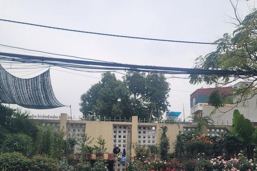 Hà Nội: Vỉa hè tuyến phố bị chiếm dụng bày bán cây cảnh, gốm sứ, đồ mỹ nghệ
