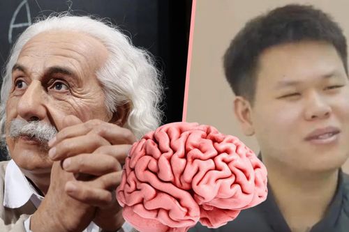 Sinh viên Trung Quốc kiếm bộn tiền nhờ bán 'Bộ não Einstein'