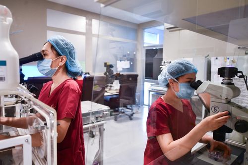 Ngành y tế TP.HCM đã phục hồi