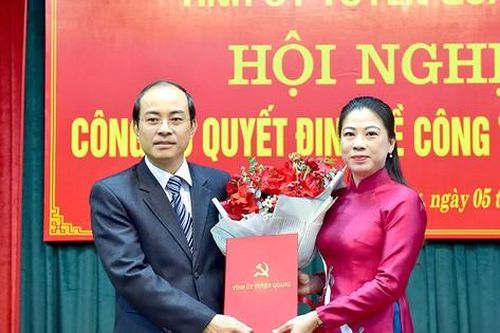 Bổ nhiệm Trưởng phòng giữ chức Phó Trưởng ban Nội chính Tỉnh ủy