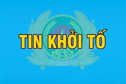 Khởi tố 8 bị can trong vụ án khai thác đất hiếm trái phép xảy ra tại Công ty cổ phần Tập đoàn Thái Dương