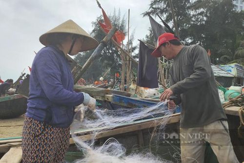 Loài cá khoai ngon ở Thanh Hóa, giá bán gần 500.000 đồng/kg