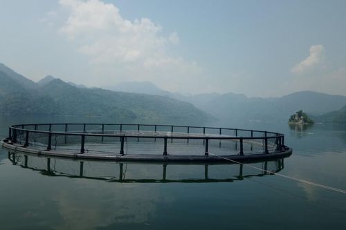 Lồng nuôi cá bằng nhựa chống chịu thiên tai