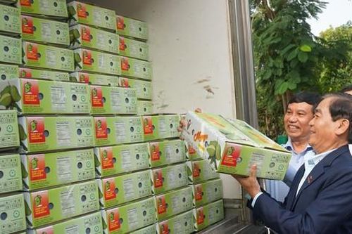 Lô xoài tượng da xanh An Giang đầu tiên xuất Úc, Mỹ
