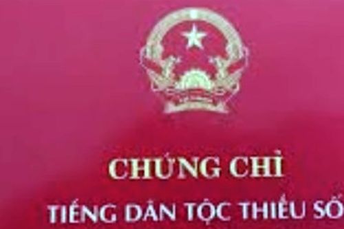 Điều tra 13 người sử dụng chứng chỉ giả dự thi viên chức ngành giáo dục