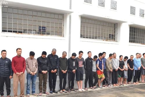 Phá chuyên án, bắt 24 đối tượng phạm tội về ma túy