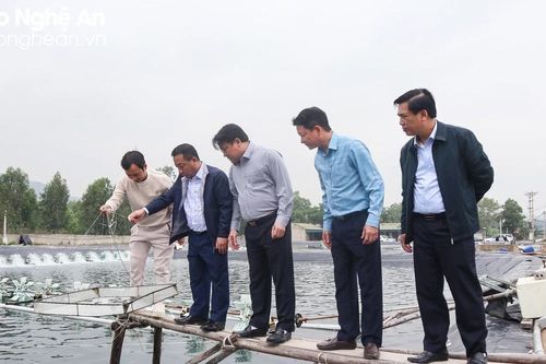 Phó Chủ tịch UBND tỉnh gợi mở phát triển kinh tế từ nuôi biển
