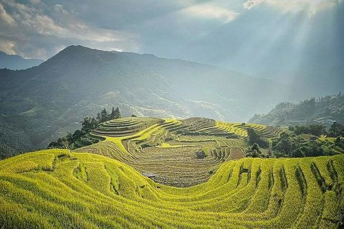 Top những điểm đến xu hướng cho du khách Việt Nam trong năm 2024