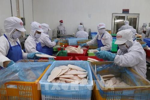 Thêm nhiều cơ sở thủy sản được xuất khẩu sang các thị trường