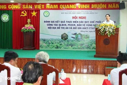 Cần mở các đợt truy quét, trấn áp vi phạm để bảo vệ rừng, hồ Trị An
