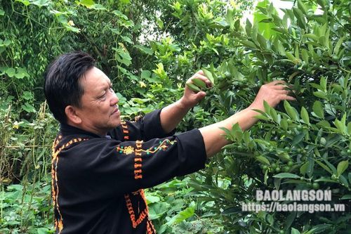 Nghiên cứu khoa học và phát triển công nghệ: Góp phần tích cực phát triển kinh tế, xã hội