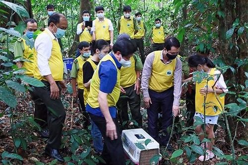 Tăng cường quản lý việc gây nuôi động vật hoang dã