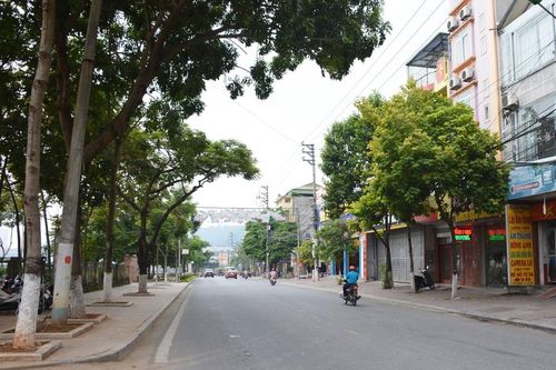 Lào Cai xếp thứ 17 về thực hiện Bộ chỉ số đánh giá kết quả bảo vệ môi trường năm 2022