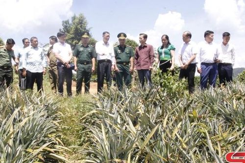 Tăng cường quản lý nhà nước về công tác ngoại vụ