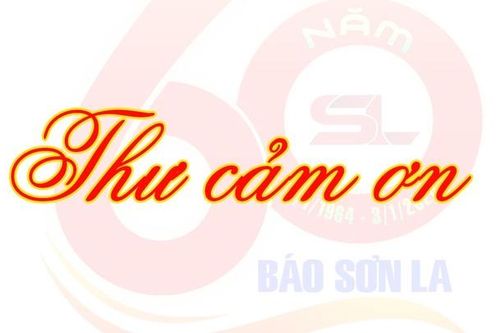 Thư cảm ơn