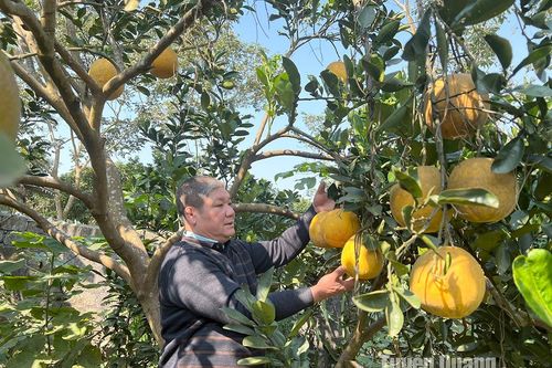 Ngọn lửa nhiệt huyết