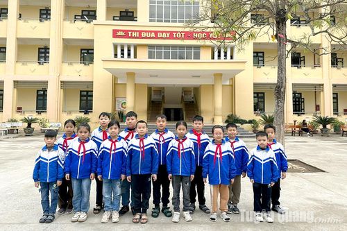 Trường Tiểu học Đăng Châu có 16 học sinh đoạt giải Kỳ thi Olympic Timo IQ FISO