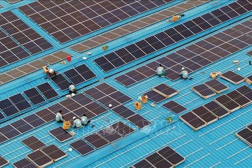Các ngân hàng lớn nhất thế giới kiếm được 3 tỷ USD từ 'khoản nợ xanh'