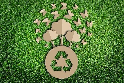 Tiêu dùng xanh – Phát triển bền vững, hướng đến Net Zero Carbon 2050