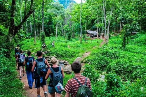 Đồng Nai: Gần 1.000 tỷ đồng phát triển du lịch sinh thái rừng