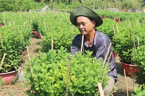 Làng nghề tất bật vụ Tết
