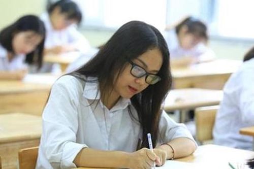 Hơn 5.800 thí sinh dự kỳ thi chọn học sinh giỏi quốc gia năm học 2023-2024