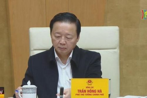 Hình thành các mô hình văn hóa gắn bó với đời sống