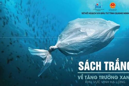 Quảng Ninh: Đưa nội dung tăng trưởng xanh khu vực vịnh Hạ Long vào giảng dạy