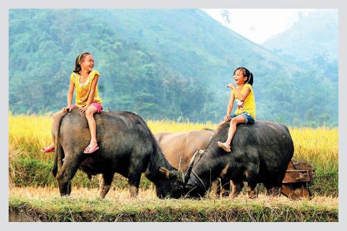 Ngắm thung lũng Bắc Sơn từ đỉnh Nà Lay