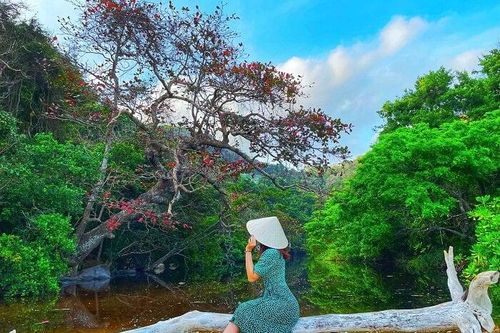 Review kinh nghiệm du lịch Côn Đảo