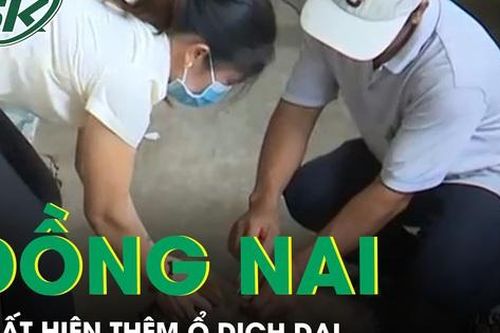 Đồng Nai: Xuất hiện thêm ổ dịch dại