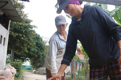 Mứt gừng Tết vào vụ sớm
