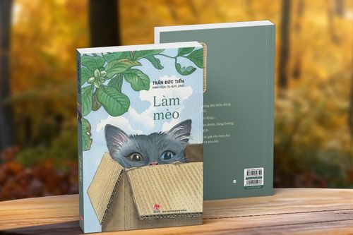 Trưởng thành cần nhiều dũng cảm
