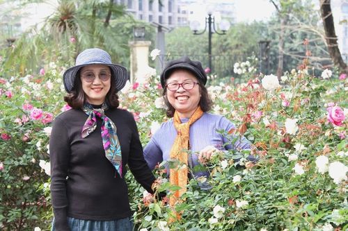 Hàng nghìn khóm hồng nở hoa, khoe sắc tại Công viên Thống Nhất