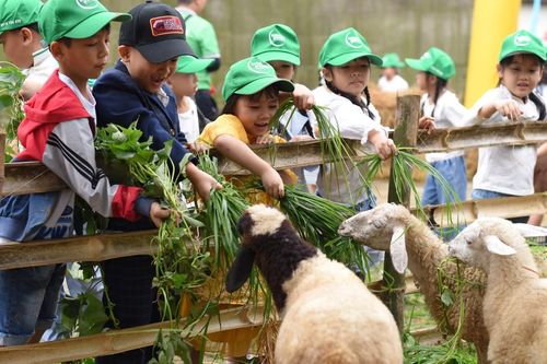 Quảng Ngãi: Đa dạng hóa loại hình du lịch để thu hút du khách