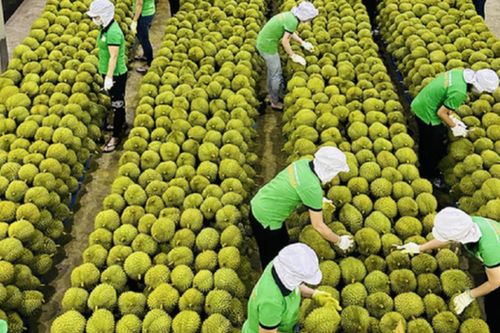 Thúc đẩy hợp tác lĩnh vực tiêu chuẩn hóa