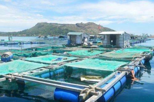 Ứng dụng công nghệ số trong nuôi trồng thủy sản