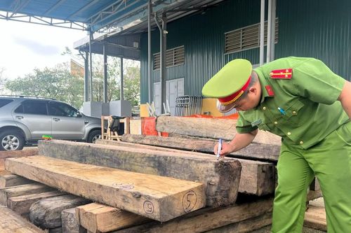 Thừa Thiên Huế: Liên tiếp bắt giữ các vụ khai thác, vận chuyển, buôn bán lâm sản trái phép
