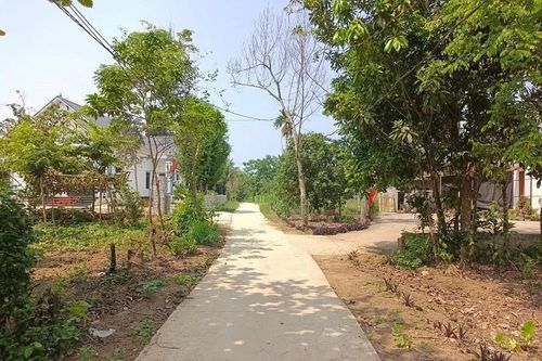 Vay tiền làm ăn, phải gán 3 công đất trả nợ vì giá vàng tăng phi mã