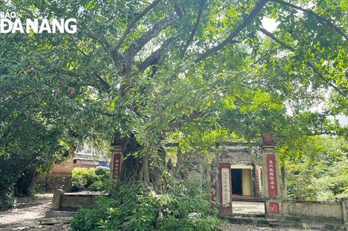 Dải lụa xanh ngang phố