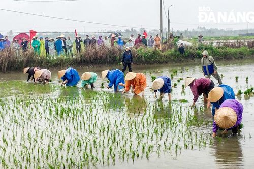 Rộn ràng lễ hội xuống đồng ở Cẩm Châu