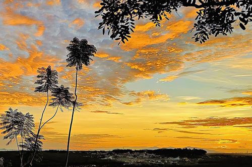 Khi ảnh nghệ thuật được chụp bằng điện thoại di động