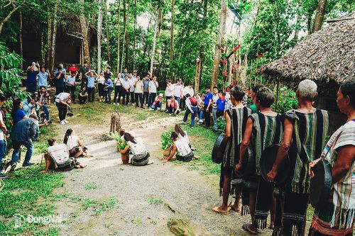 Tà Lài đa sắc