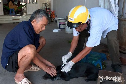 Thêm 2 trường hợp bị chó dại cắn, phát sinh ổ dịch mới tại La Ngà