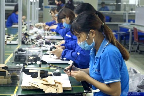 Đất lành chim đậu