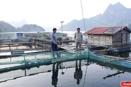 Mường La phát triển nuôi thủy sản