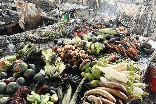 Cháy, phần lớn do hệ thống điện
