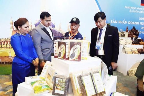 Làm sâu sắc hơn mối quan hệ đặc biệt Việt Nam - Lào