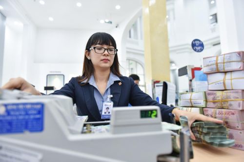 BIDV và VietinBank lãi trước thuế gần 50.000 tỷ đồng