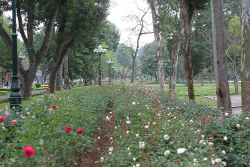 Bước đệm thành công để mở toàn bộ hàng rào công viên Thống nhất